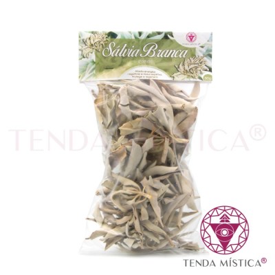 ERVAS SALVIA FOLHA