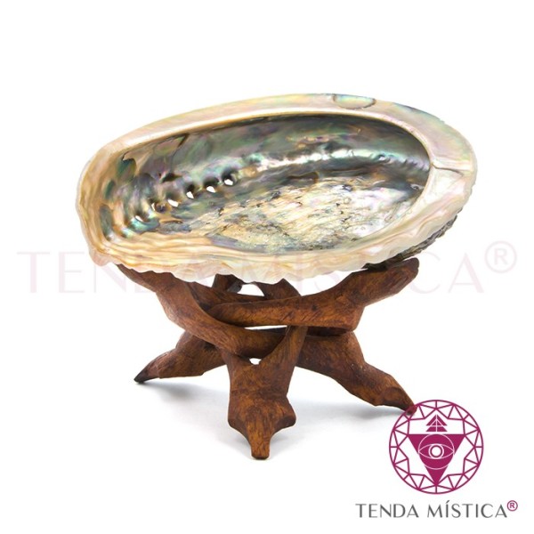 Concha Abalone