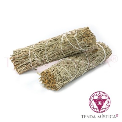 TOCHAS VÁRIAS