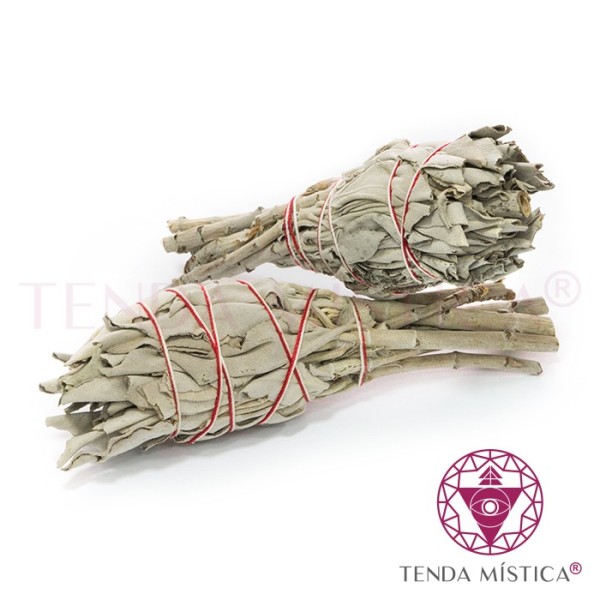 Tocha Sálvia Branca Tulipa